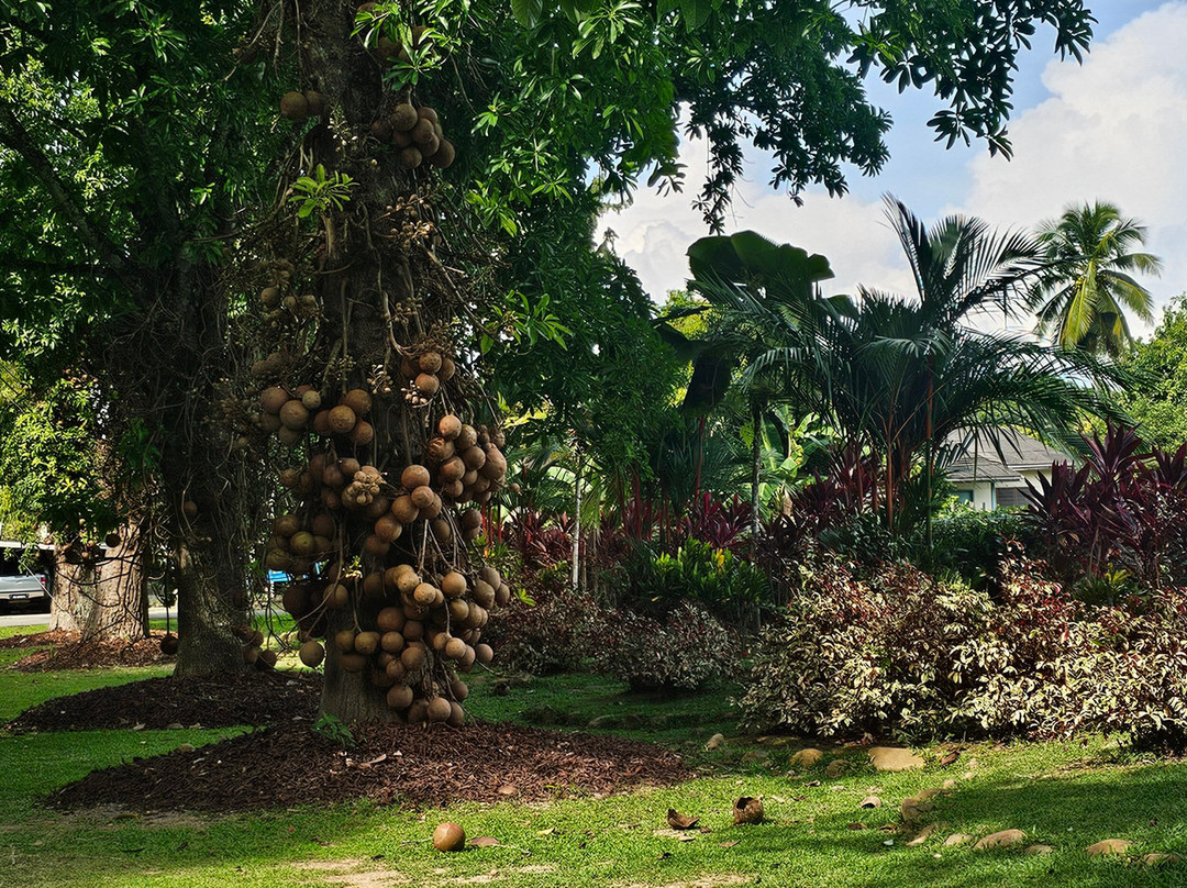 Sabah Agricultural Park-丹南必去景点