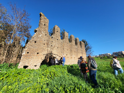 Ars In Urbe  Aps-罗马必去景点