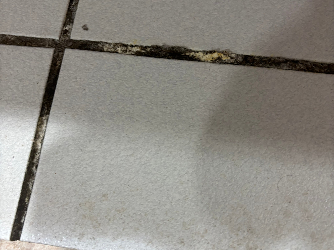 Cardiff International Pool And Gym-卡迪夫必去景点