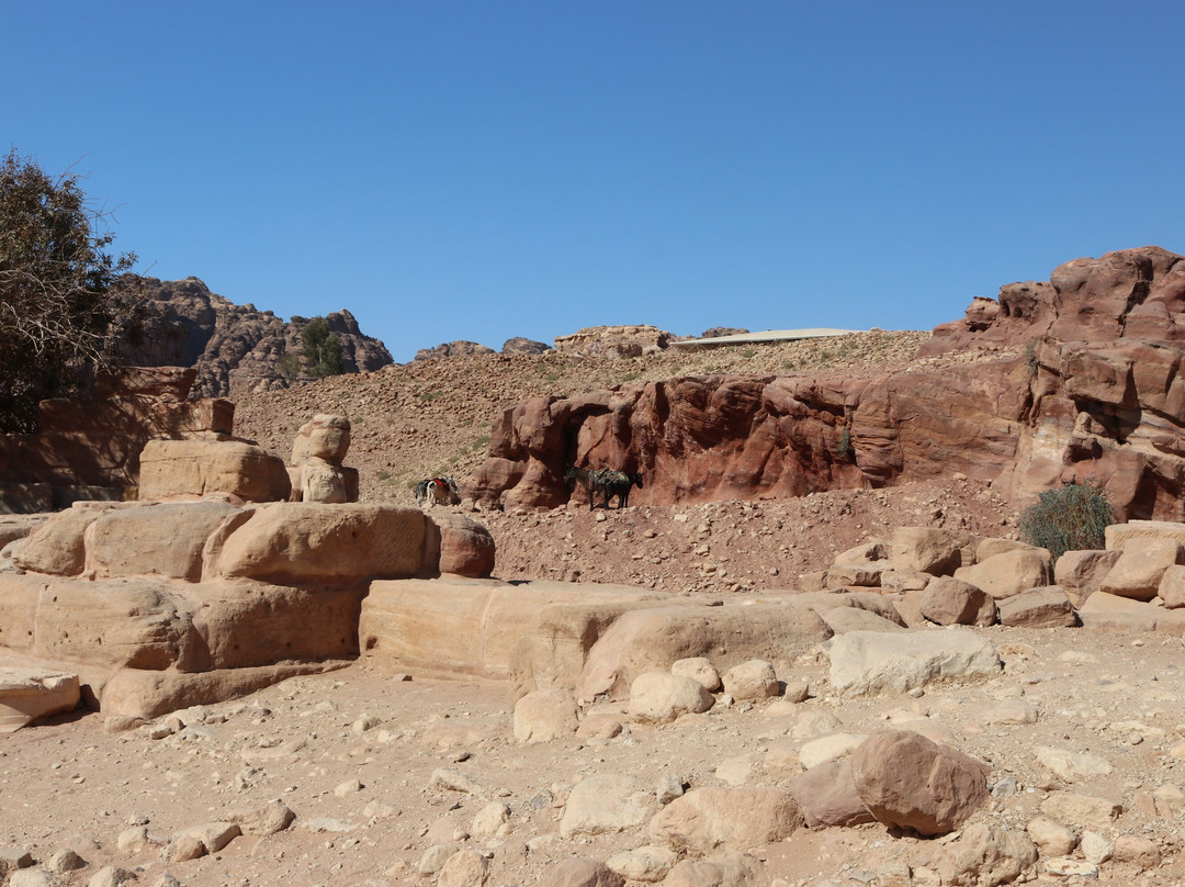 Nymphaeum-佩特拉必去景点