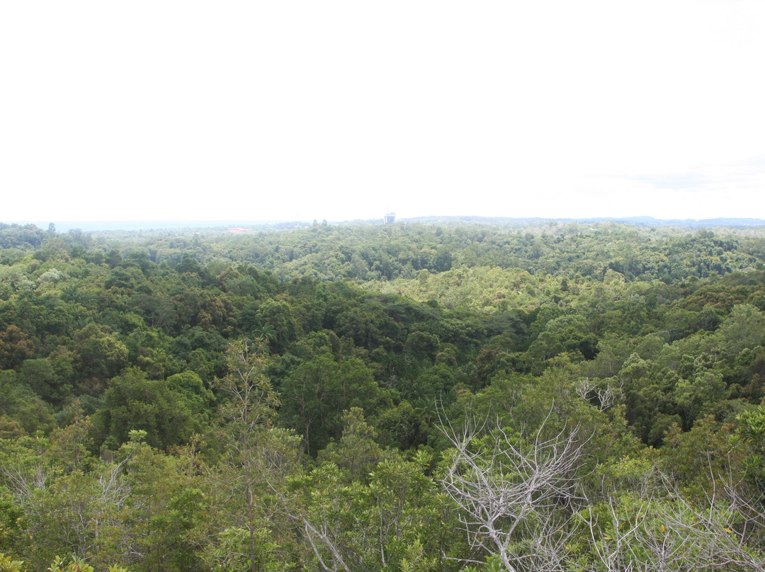 Bukit Shahbandar Forest Recreation Park-斯里巴加湾必去景点