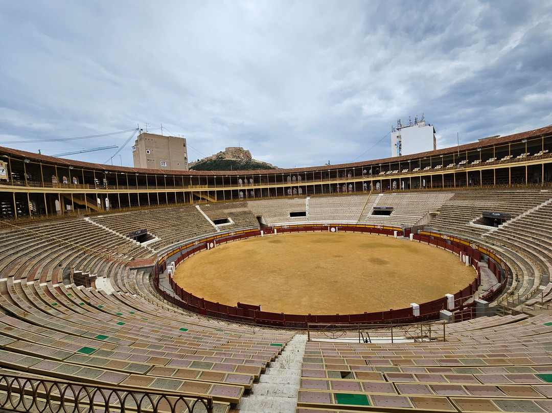 Plaza de Toros Alicante景点图片