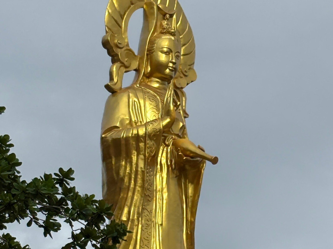 Sun World Black Virgin Mountain景点图片