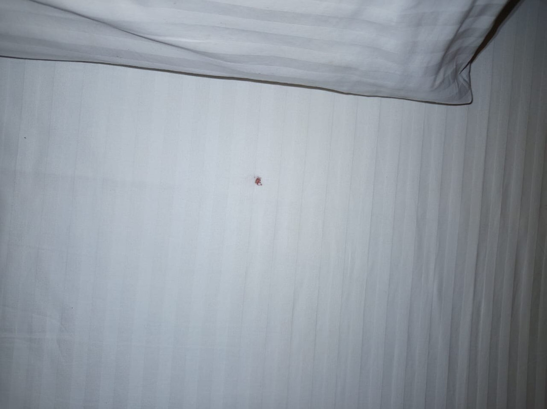 Avenra Gangaara Hotel主图