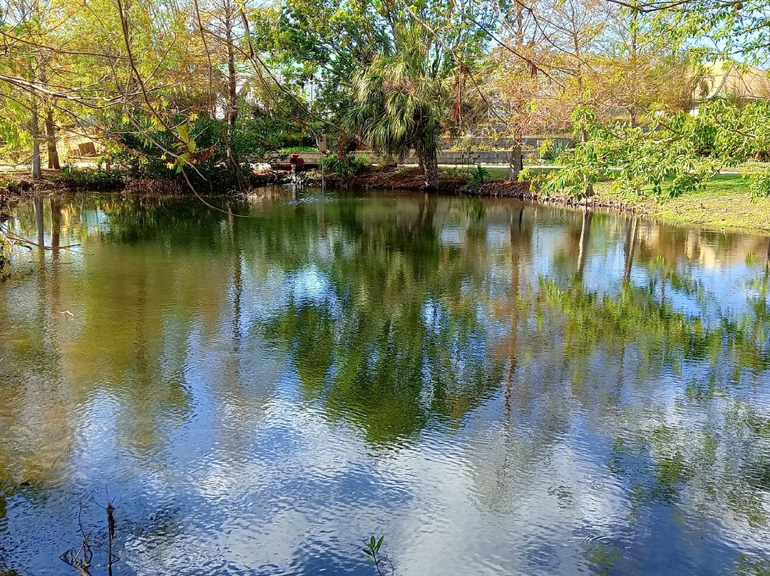 Palma Sola Botanical Park-布雷登顿必去景点