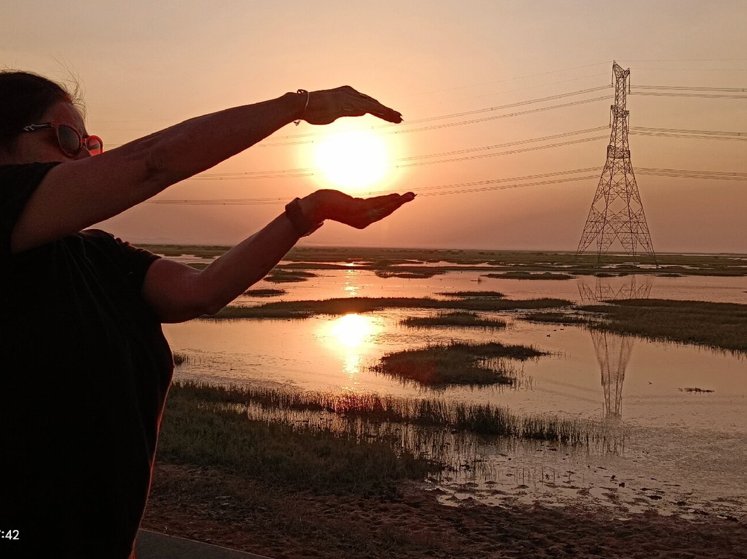 Heaven Of Kutch Khavda To Dholavita Road-Dholavira必去景点