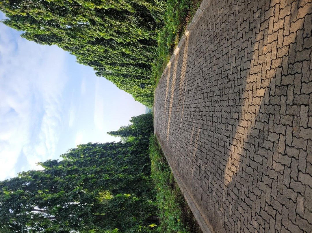 Dry Zone Botanic Gardens - Hambantota景点图片