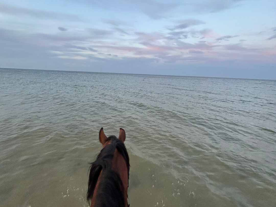 EkiClub-摩纳斯特必去景点