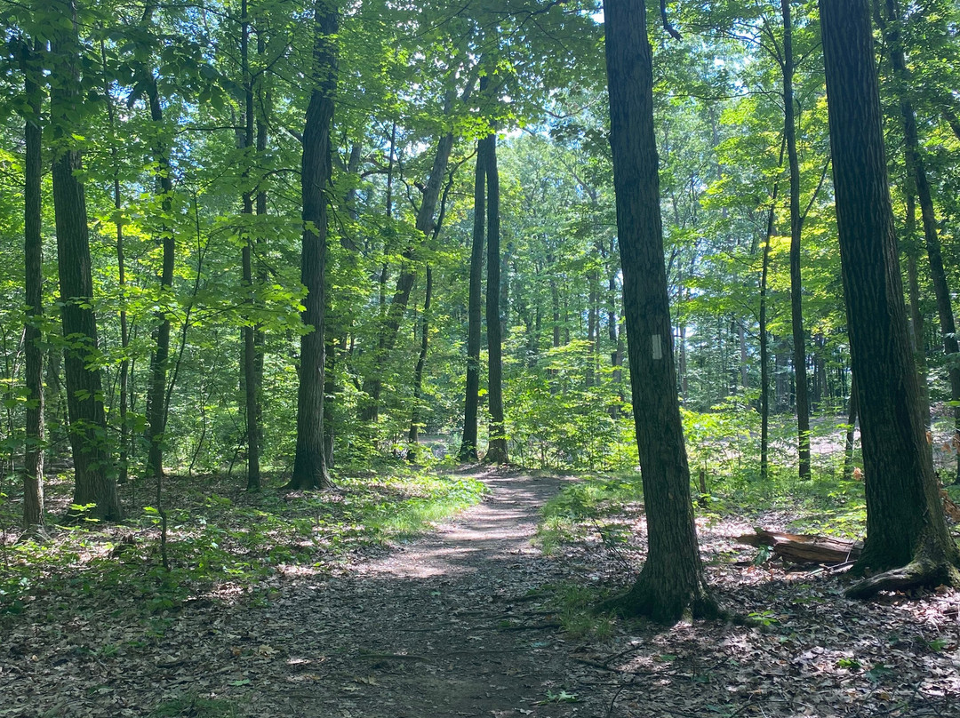 Nelson-Kennedy Ledges State Park-Nelson必去景点