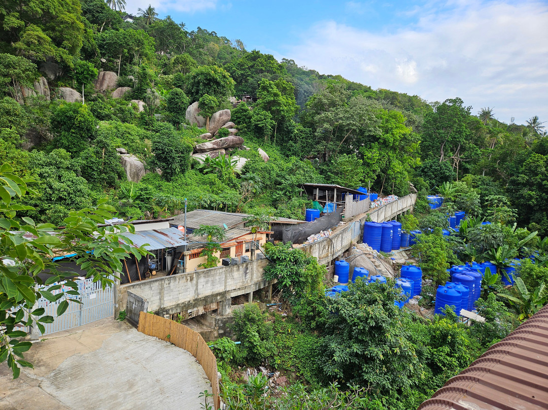 杜斯特邦查度假村主图