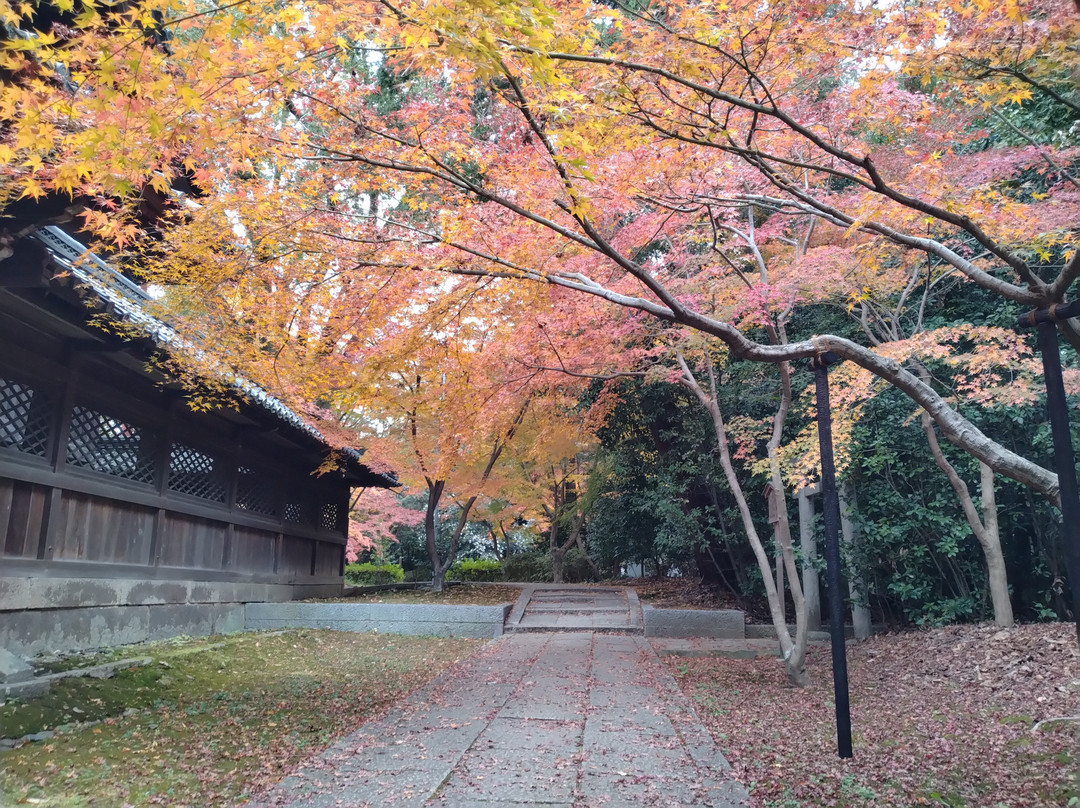Muko Shrine-向日市必去景点
