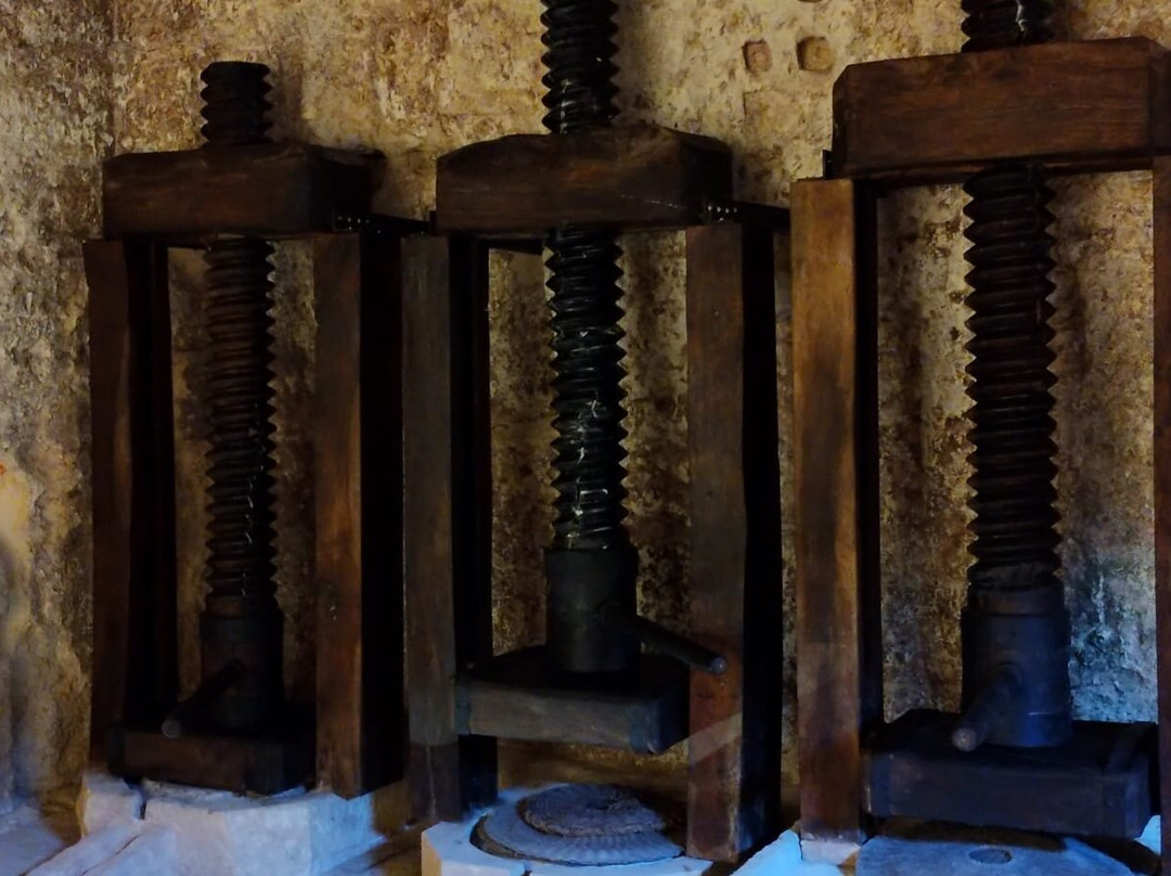 MOOM Matera Olive Oil Museum-马泰拉必去景点
