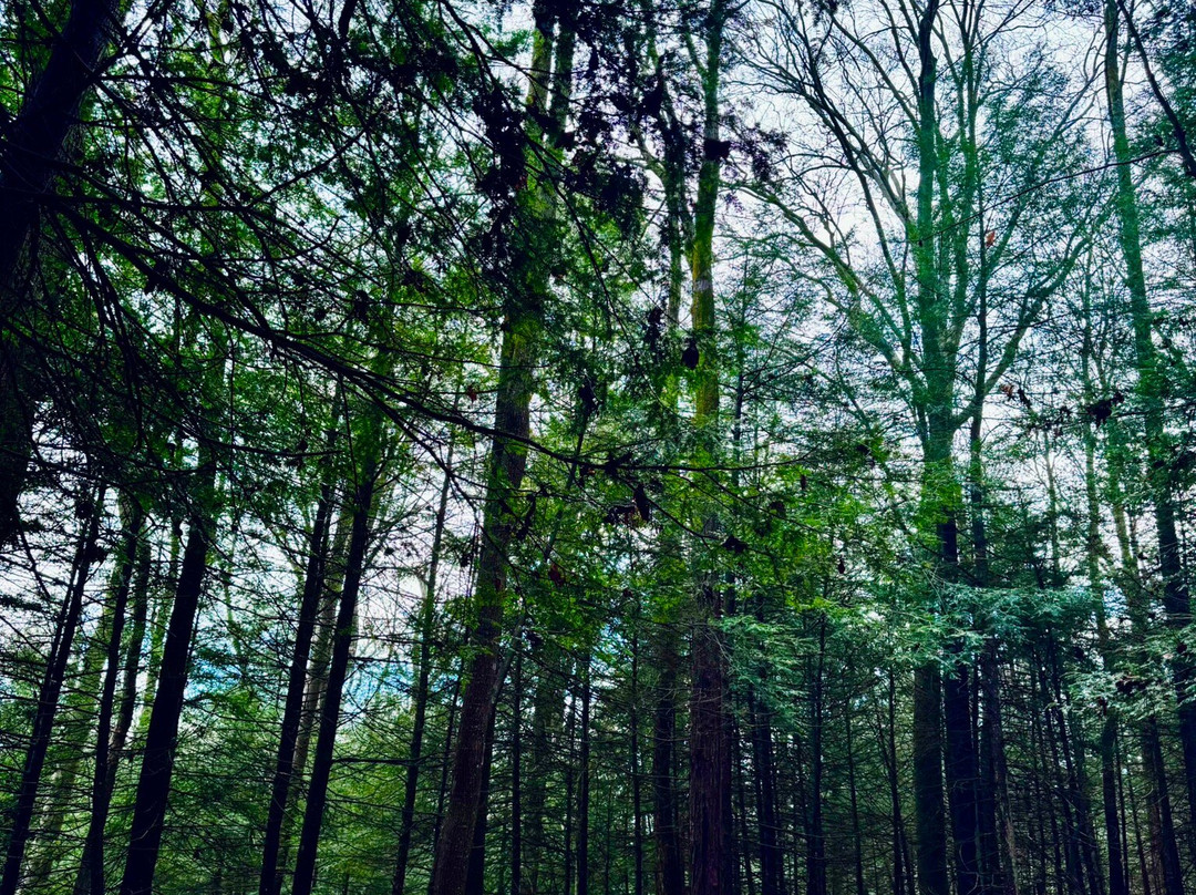 Ledges Overlook-Peninsula必去景点