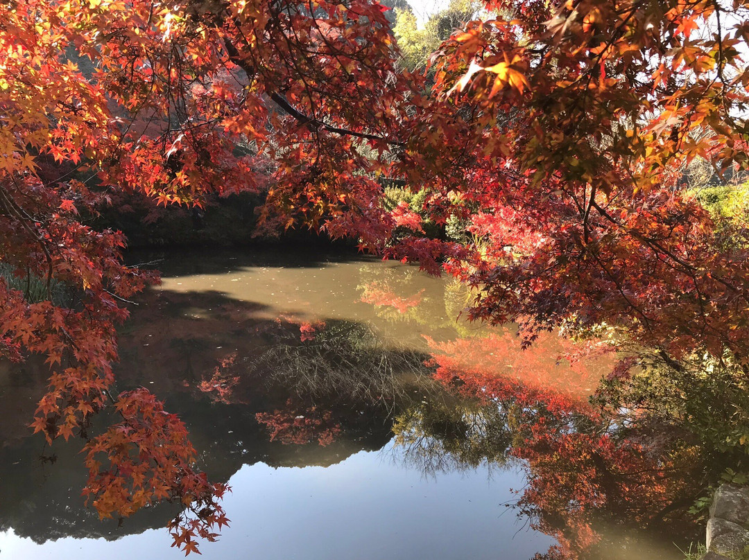 Chogaku-ji Temple-天理市必去景点