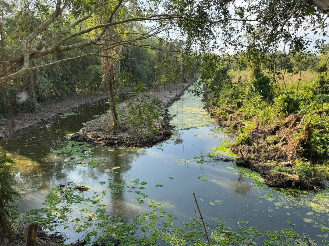 Khu Du Lịch Mùa Xuân-Nga Bay必去景点