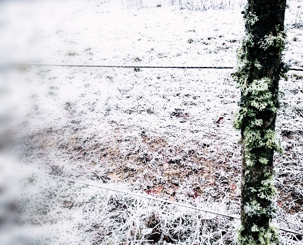 Weinhotel Ayler Kupp主图