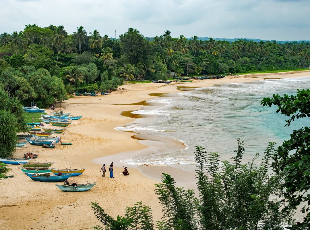 Freedom Resort主图