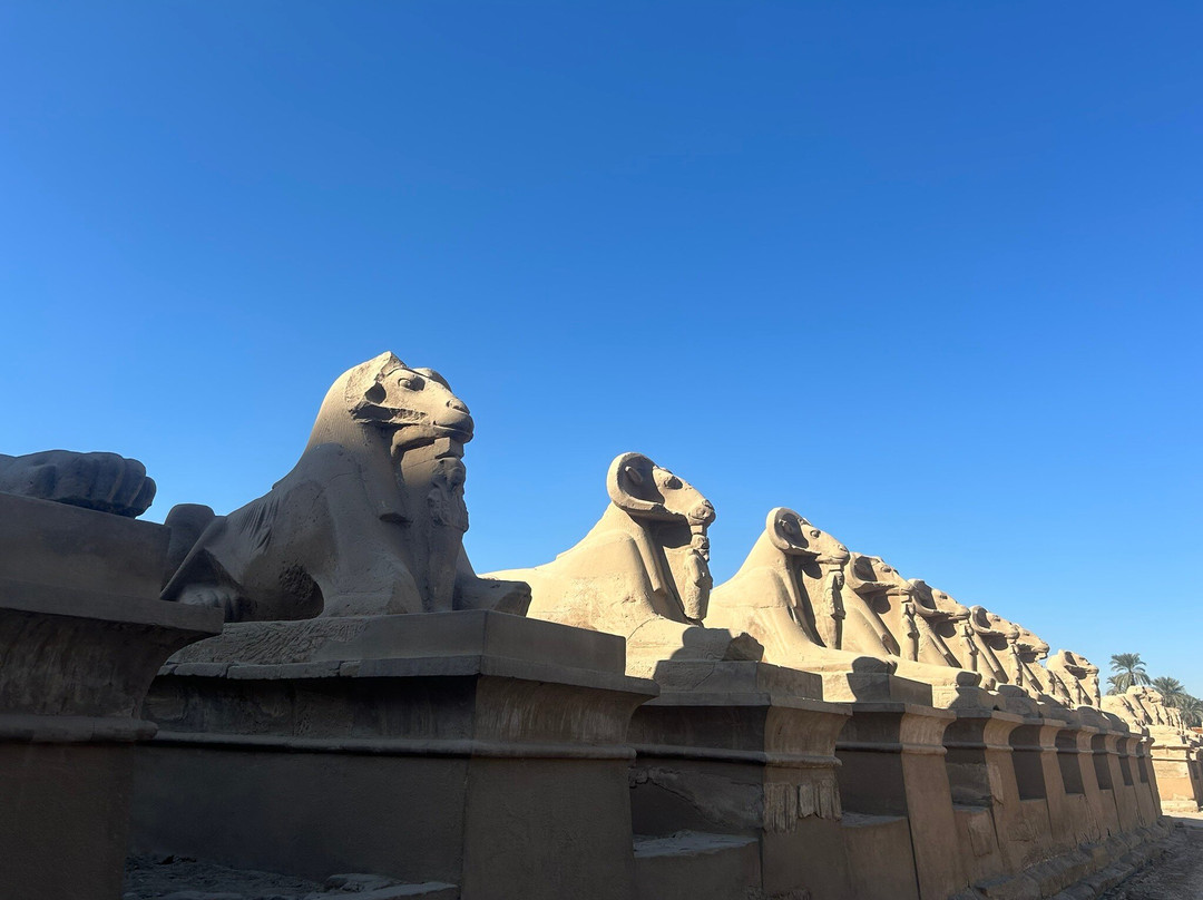 Alibaba Excursions Hurghada-Second Hurghada必去景点