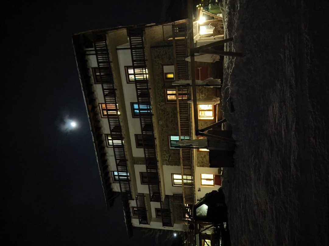 Hotel Chalet des Alpes主图
