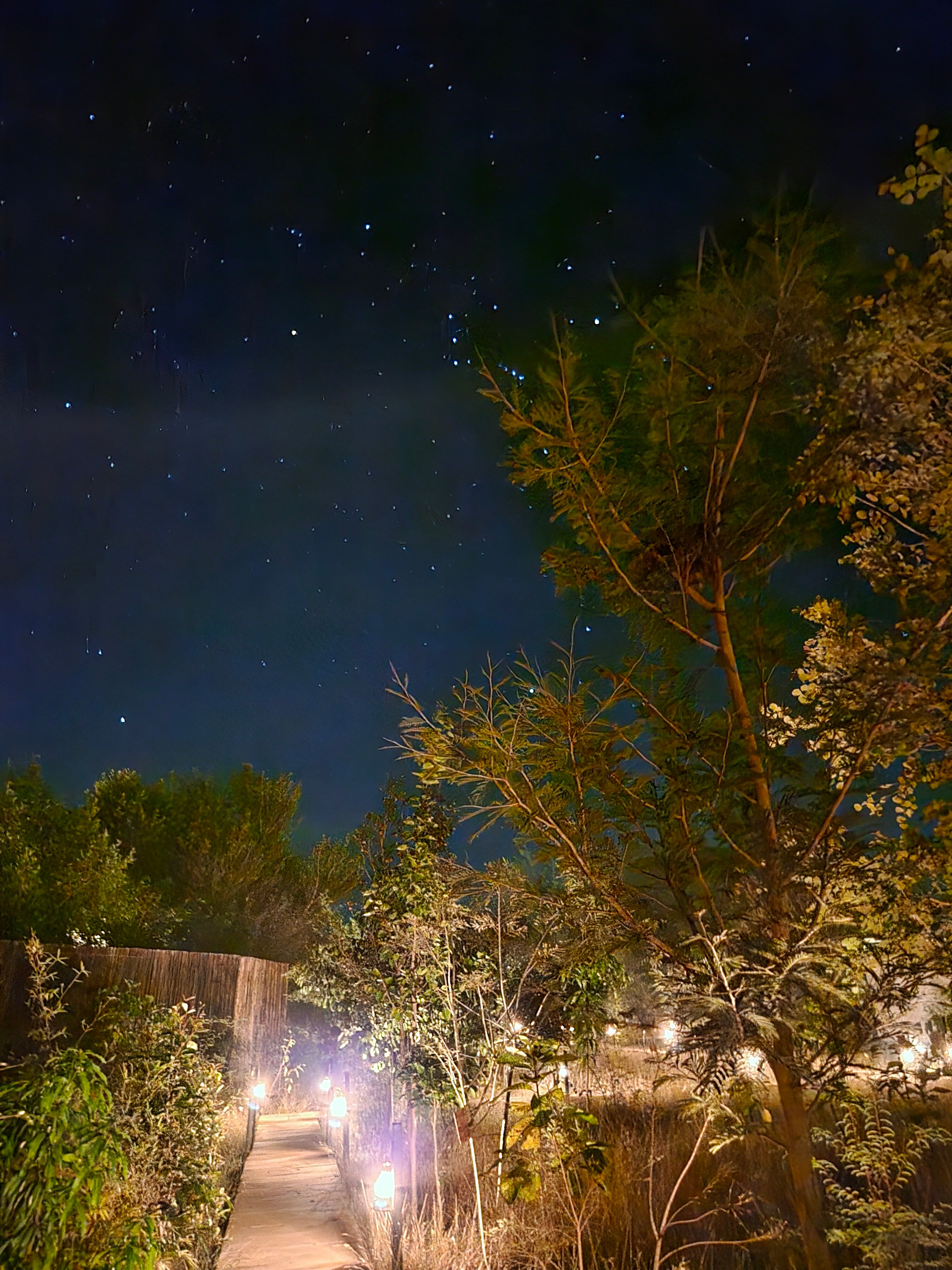 Bori Safari Lodge-浴室