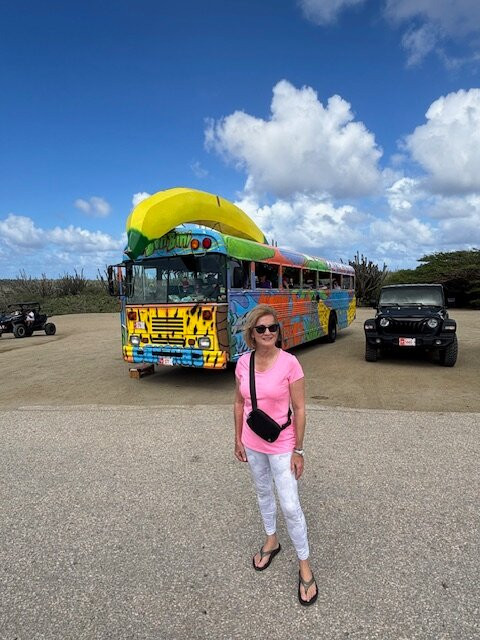 Banana Bus-棕榈/鹰海滩必去景点