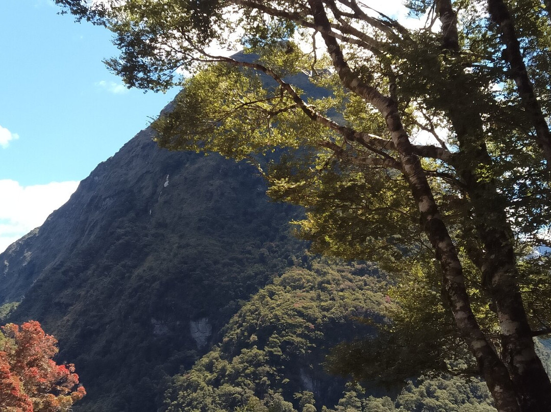 Milford Sound景点图片