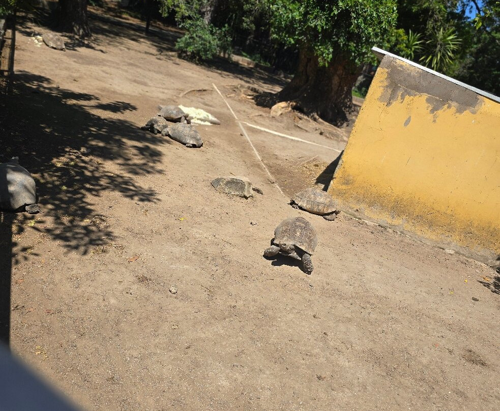 East London Zoo-东伦敦必去景点