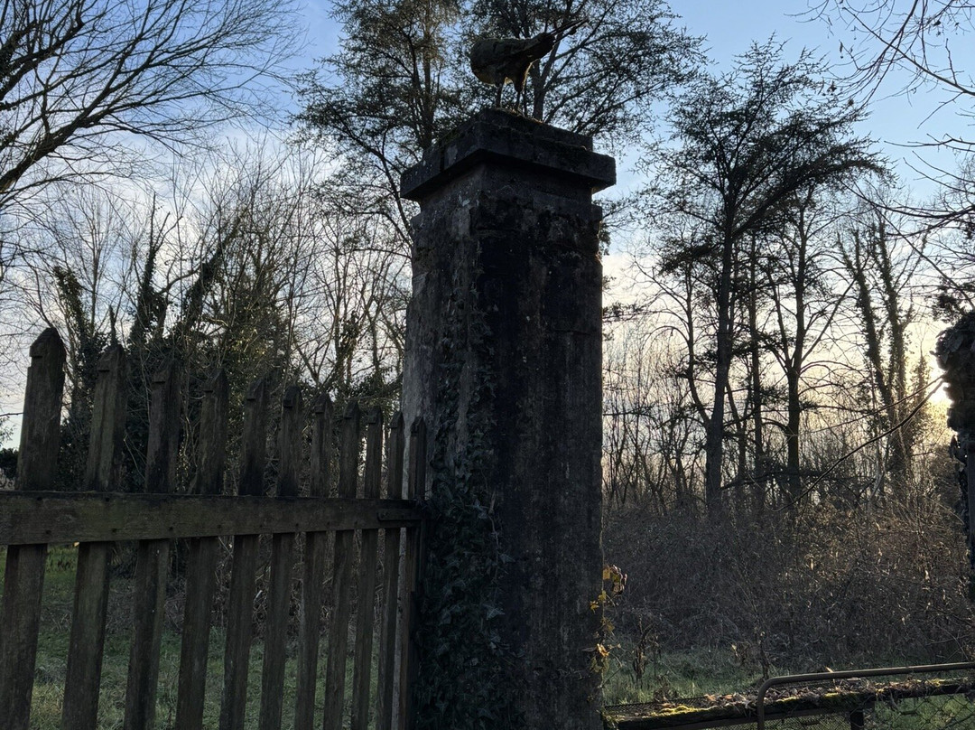 Parco Del Ticino景点图片