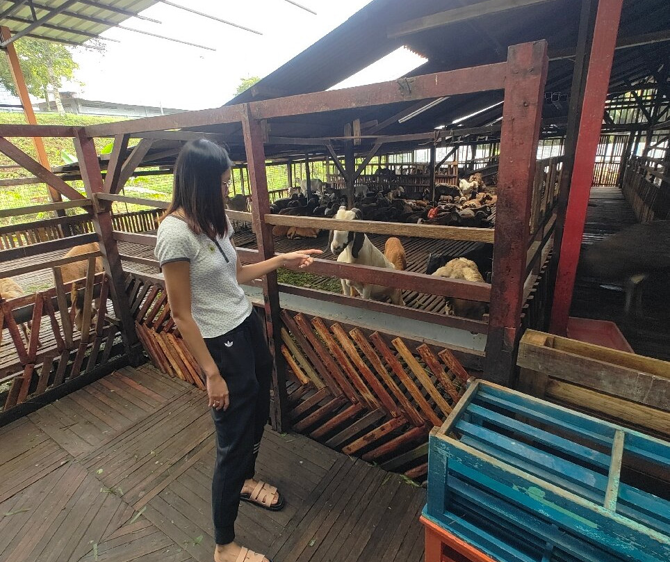 Desaru Fruit Farm-哥打丁宜必去景点