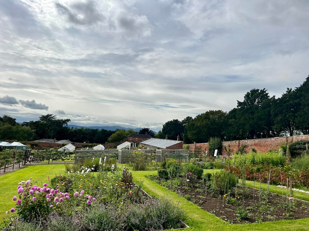 The Walled Gardens At Croome Court-Severn Stoke必去景点