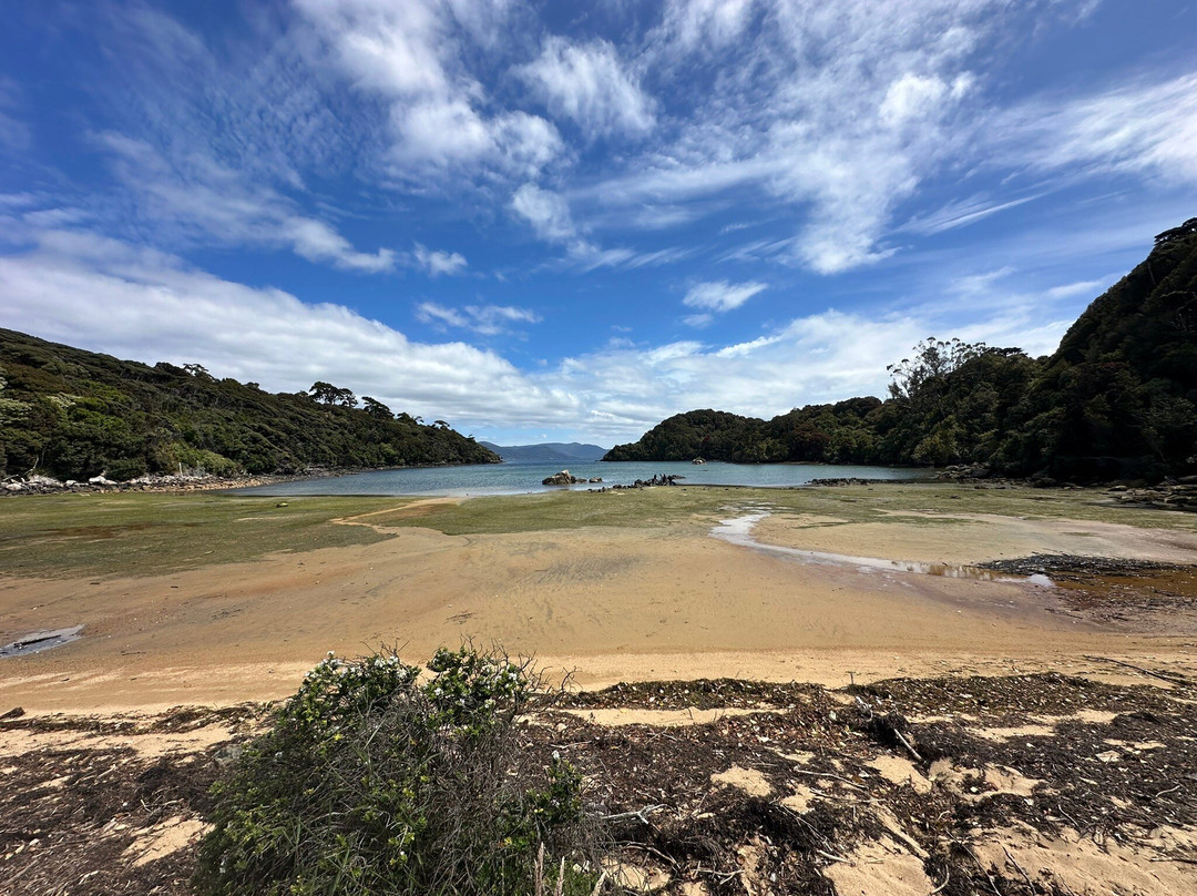 Rakiura Track景点图片