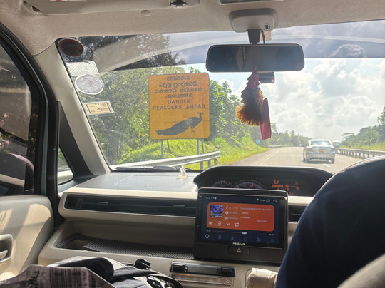 Island Divvy Tours-卡卢特勒必去景点