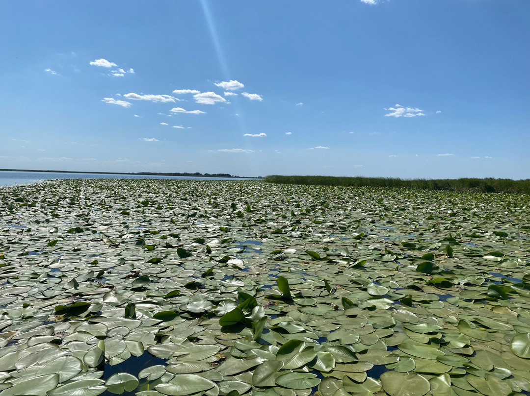 FlorianMagellan-excursii-trips-Alternative Tourism景点图片