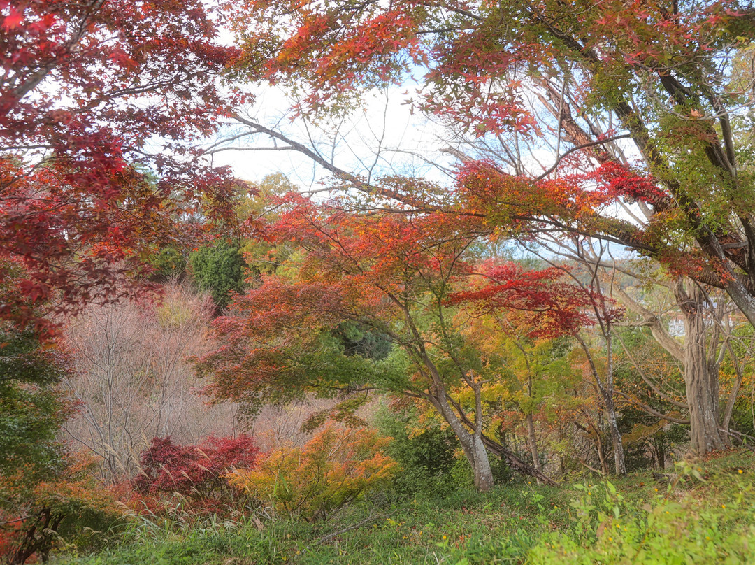 Momijiyama Park景点图片