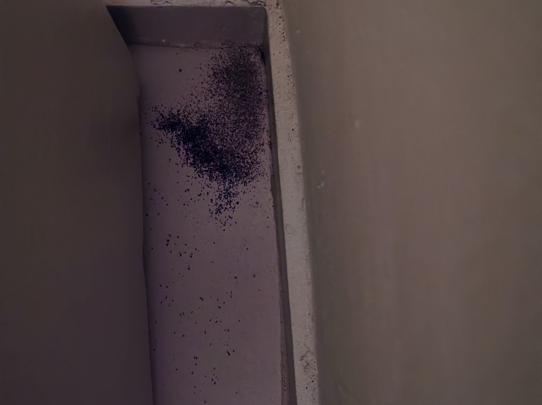 Mitsis Bali Paradise主图