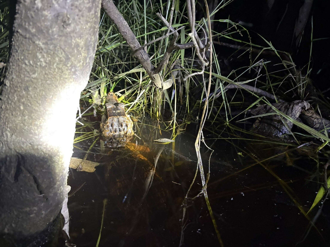 Kaw-Arrondissement of Cayenne必去景点