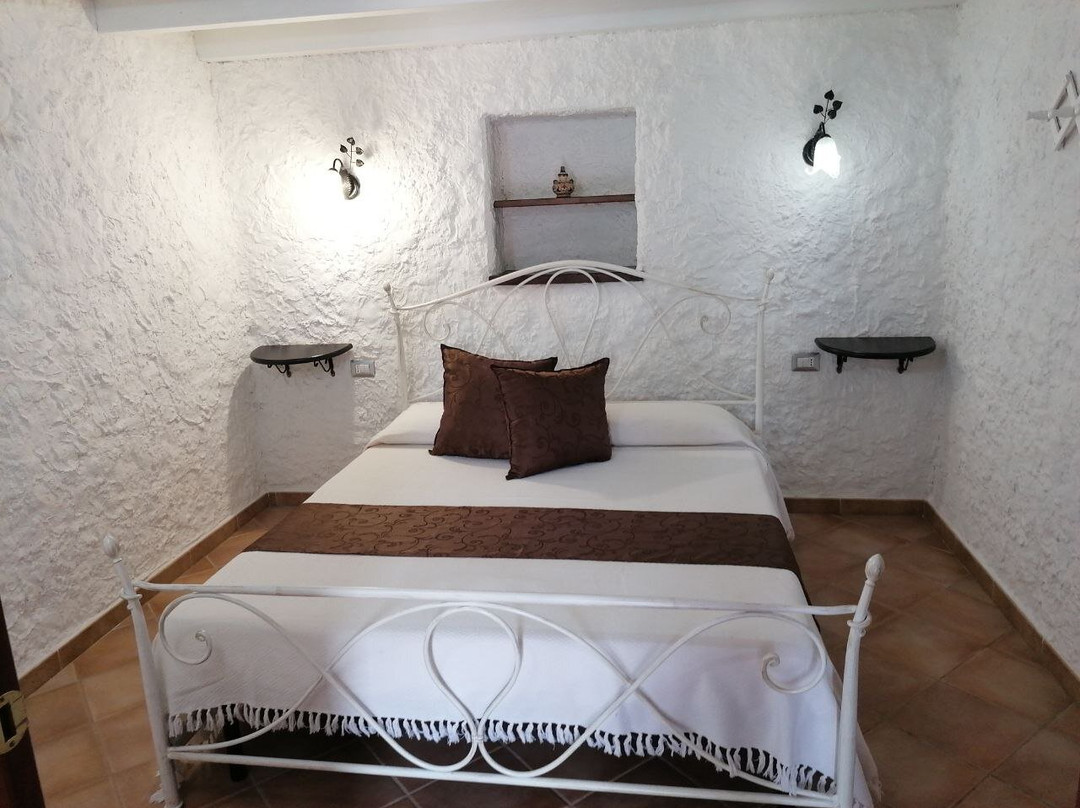 Il Vigneto Bed And Breakfast主图