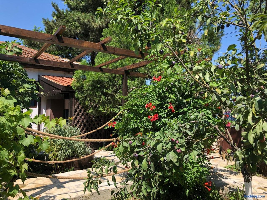 Grauri Si Smochini