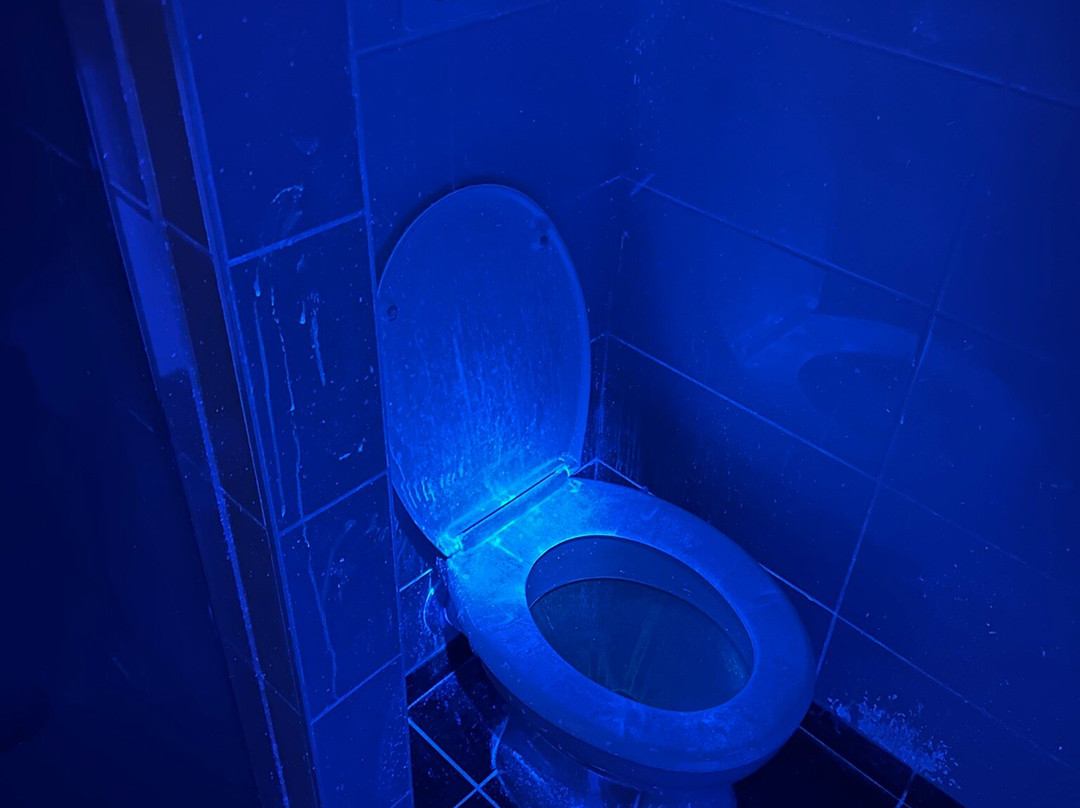 Ace Hotel Chartres主图