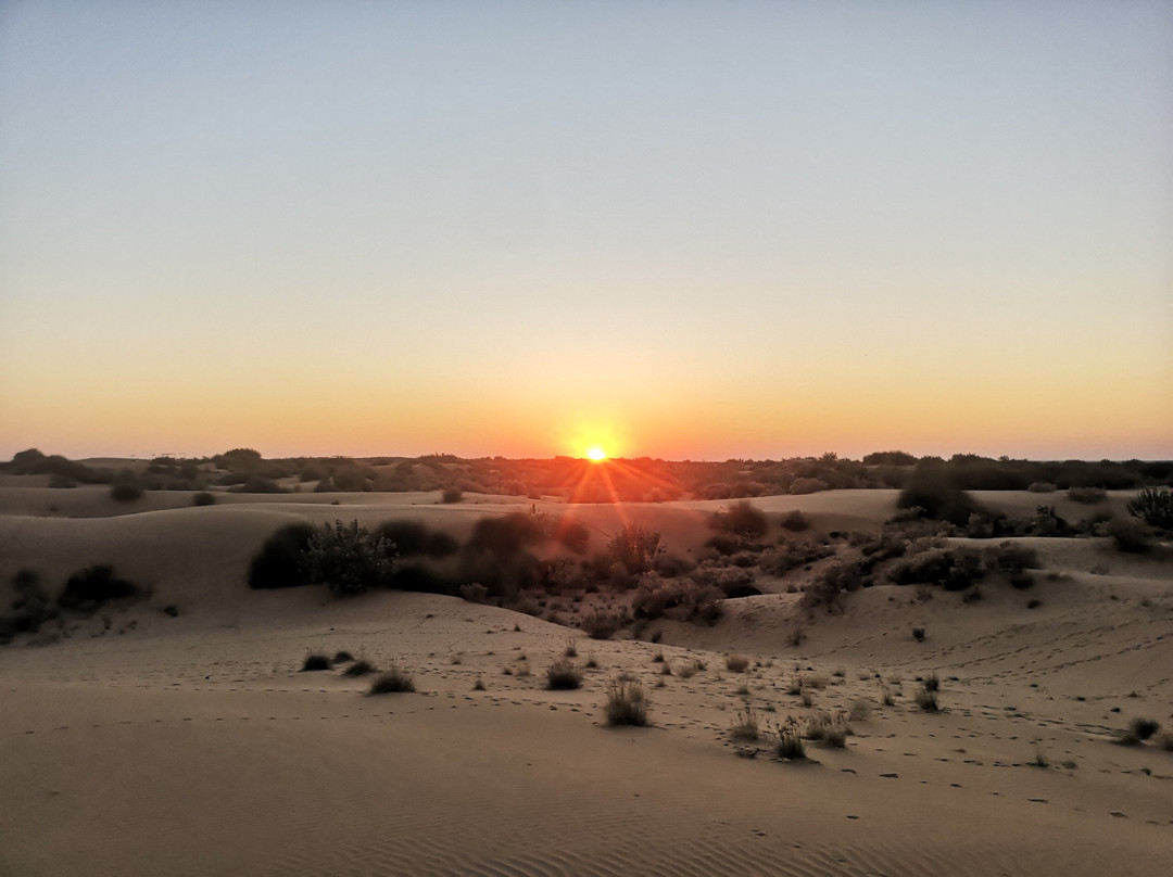 Thar Desert Tours景点图片