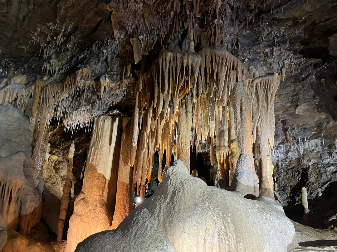 Buchan Caves Reserve景点图片