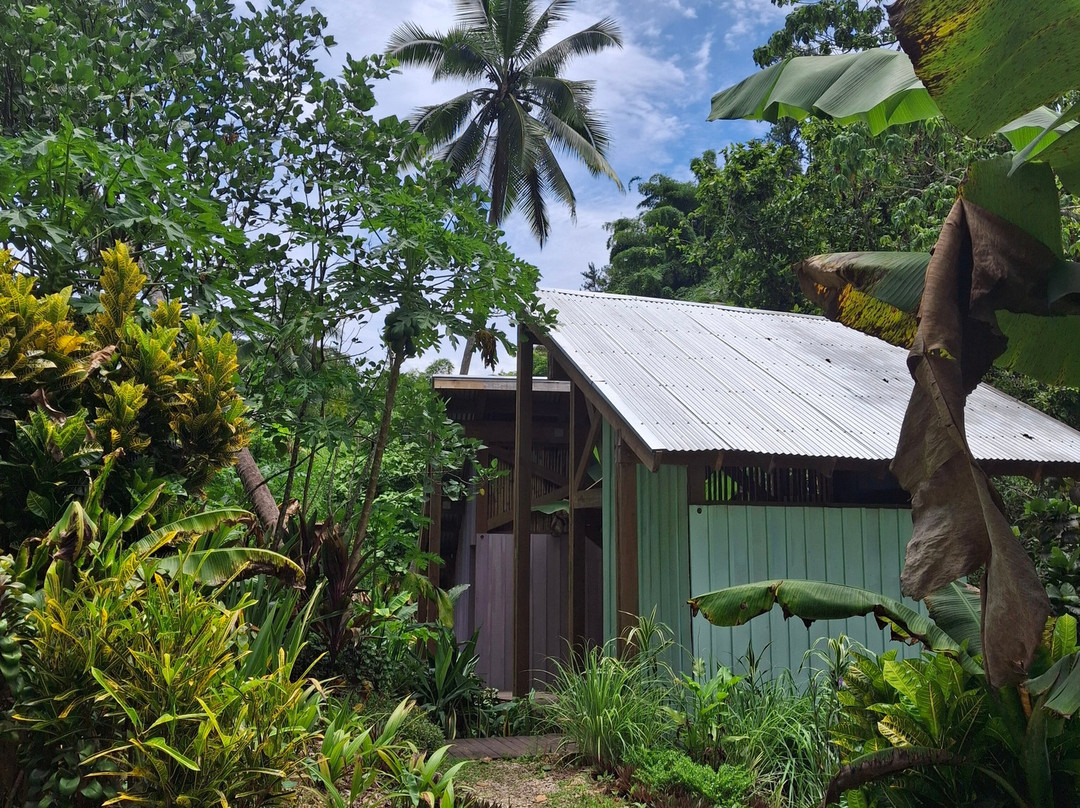 Vuadomo Waterfall - Muanivatu Trails-萨武萨武必去景点