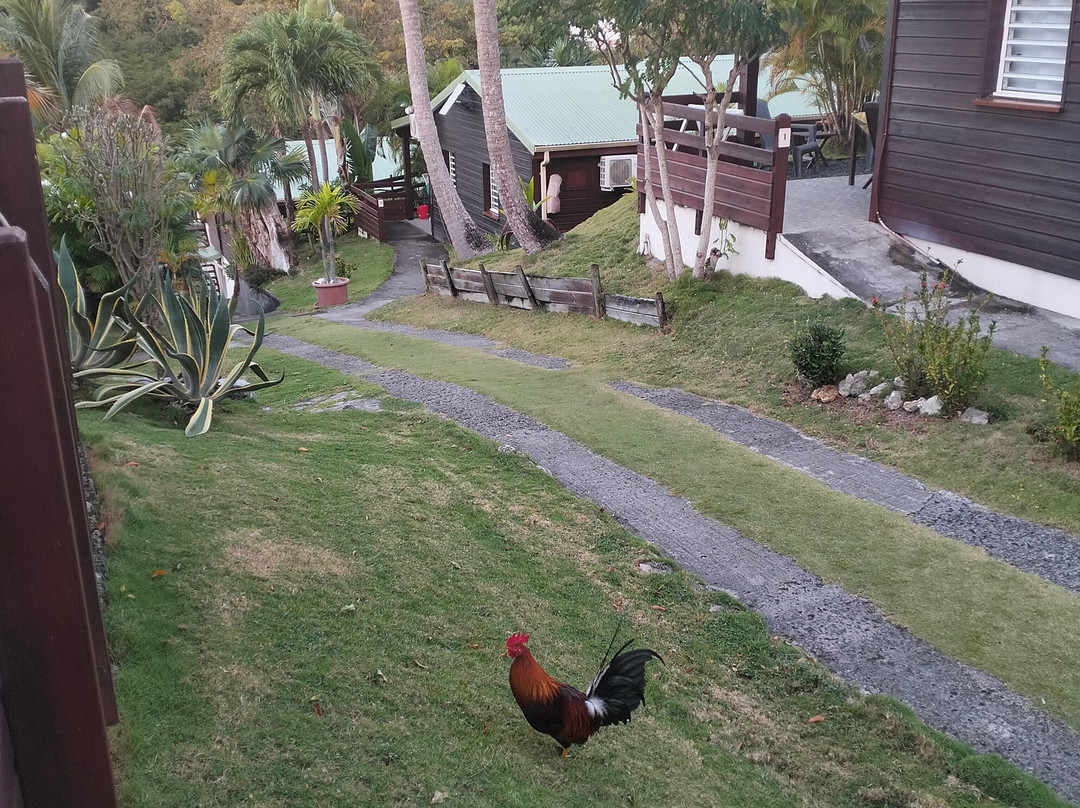 Ti'Village Creole主图