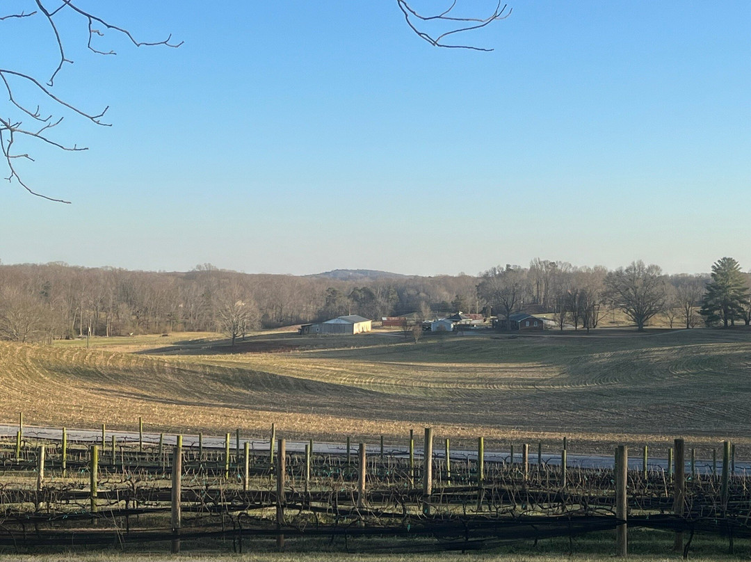 Currahee Vineyard and Winery-Toccoa必去景点