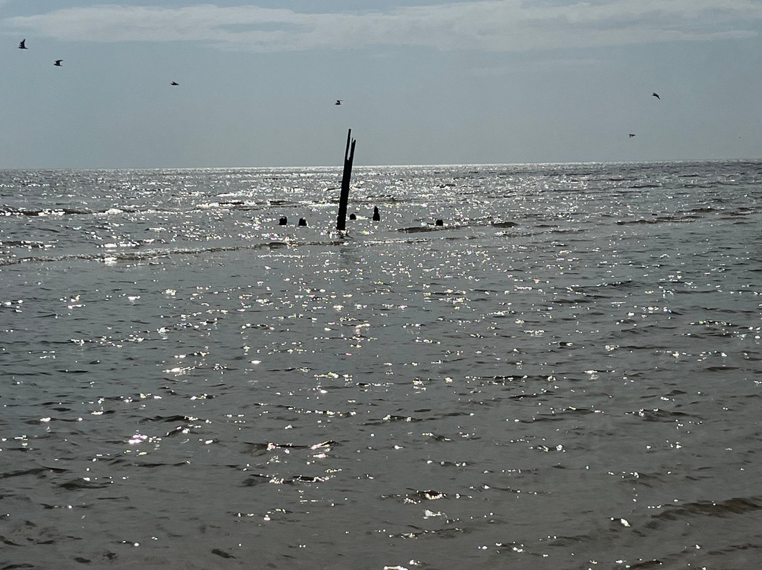 Waveland Beach-Jensen Beach必去景点