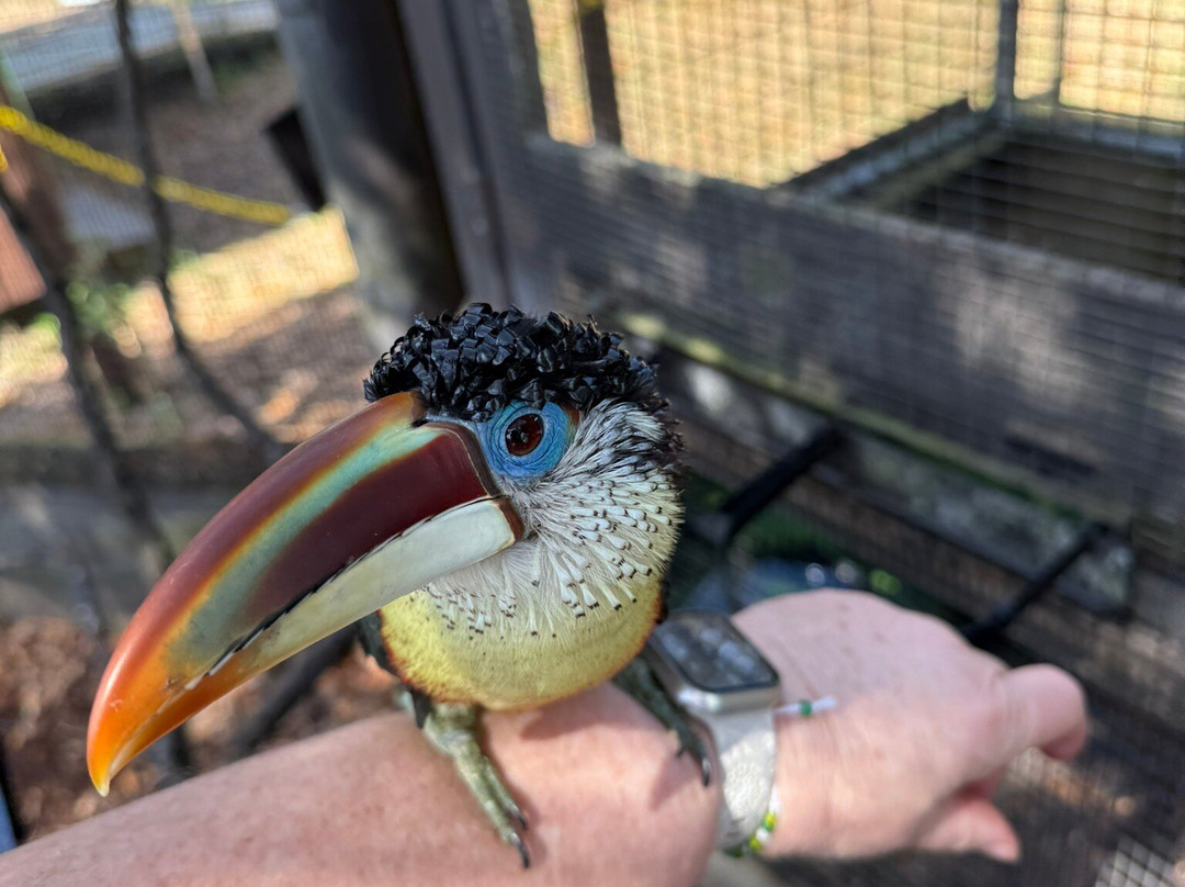 Chase Animal Rescue And Sanctuary-Webster必去景点