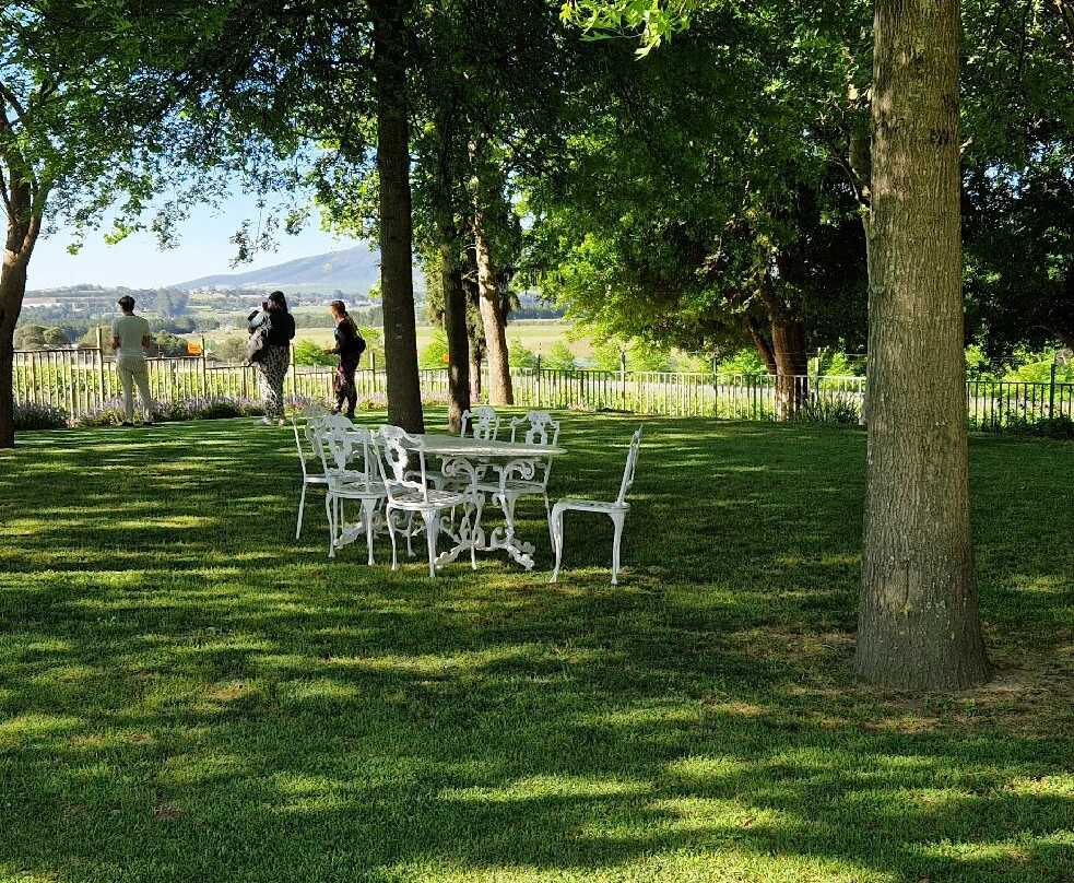 Mitre's Edge Wine Estate-Klapmuts必去景点