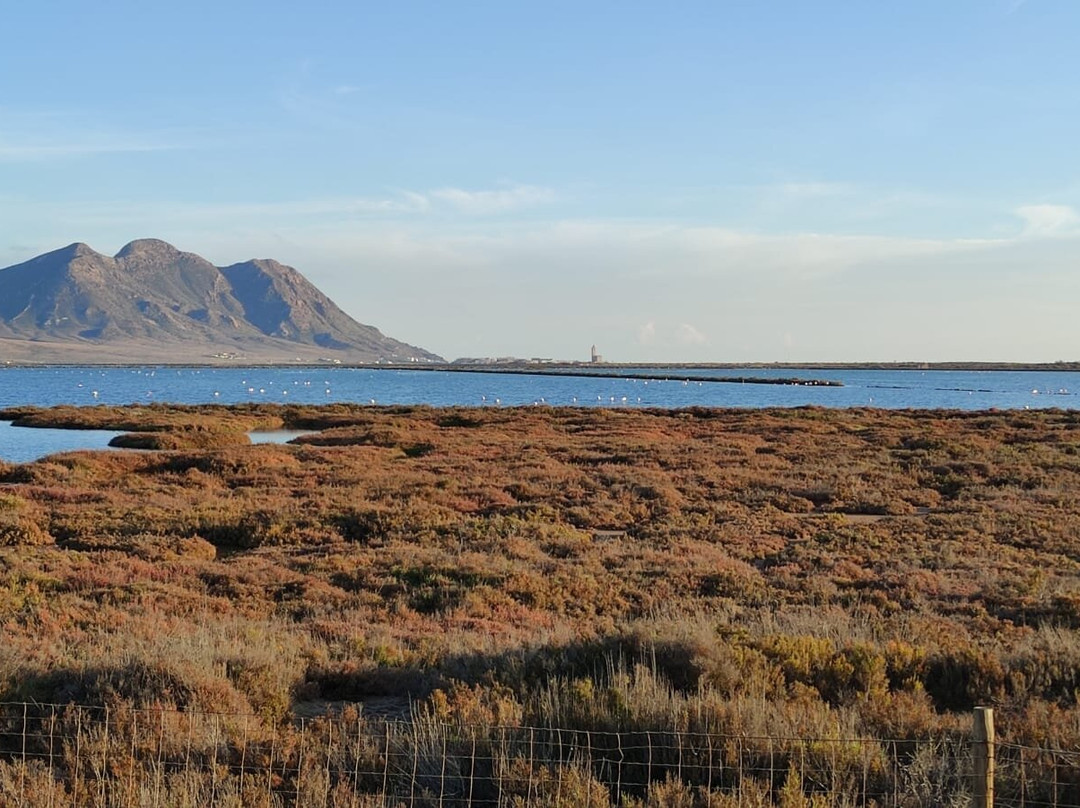 Faro Cabo de Gata景点图片