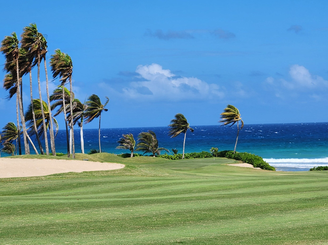 Cinnamon Hill Golf Course景点图片
