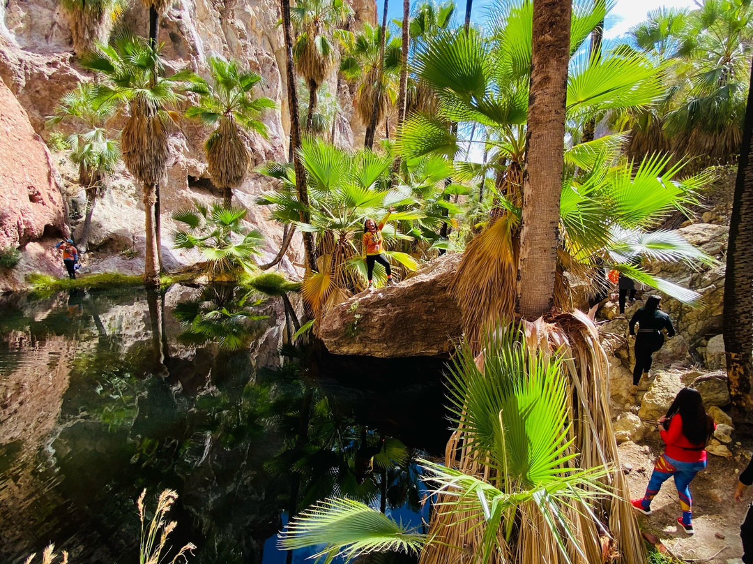 Cañón La Poza Manantial-圣卡洛斯必去景点